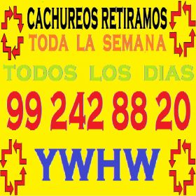 OPERATIVO DE RECIClaje CACHUREOS VARIOS 